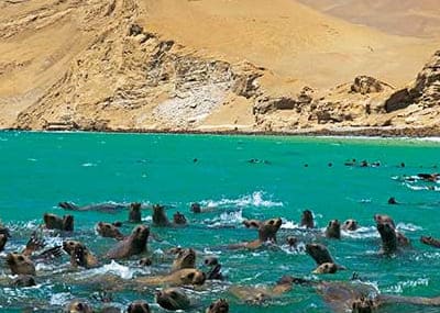 Paracas National Reserve: Complete Guide for Your Visit